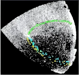 Astronomers detect multiple extended tidal tails in an old globular cluster