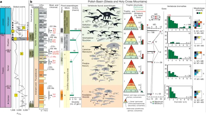 Digestive contents and food webs record the advent of dinosaur supremacy | Nature