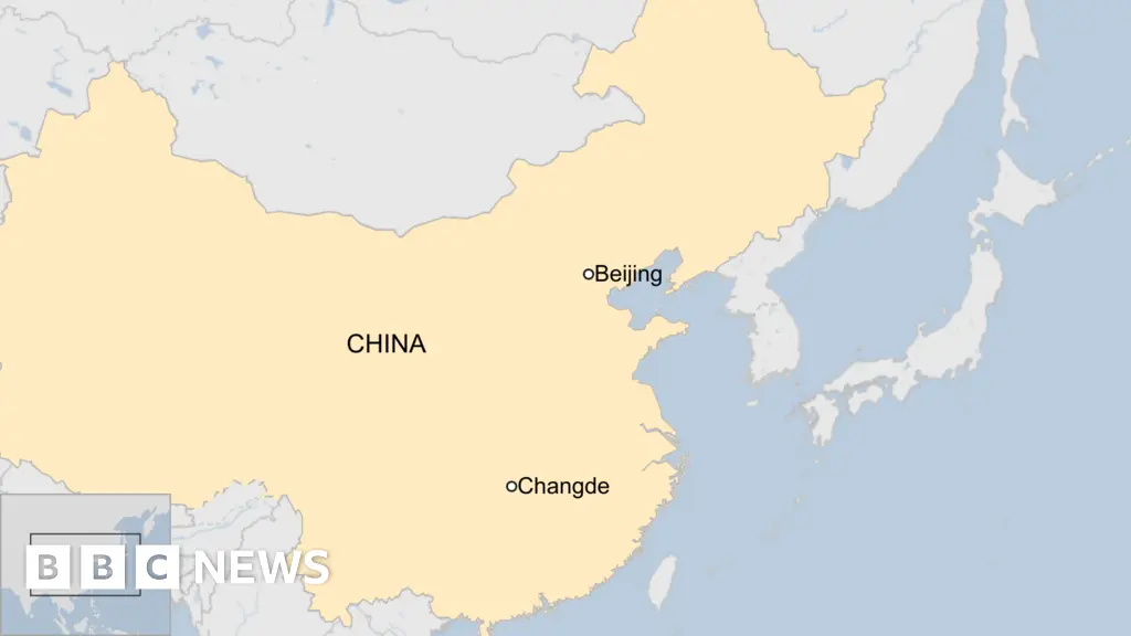 Car driven into crowd outside primary school in China