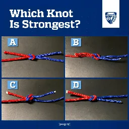 Judging knot strength throws people for a loop: Experiment reveals new blind spot in our physical reasoning