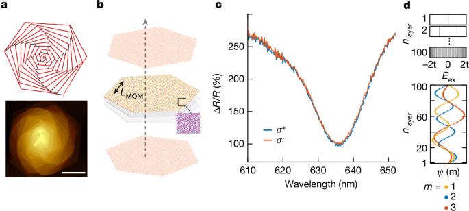 Opto-twistronic Hall effect in a three-dimensional spiral lattice | Nature