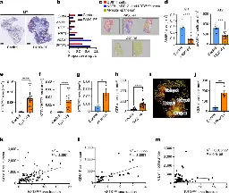 An aberrant immune–epithelial progenitor niche drives viral lung sequelae | Nature