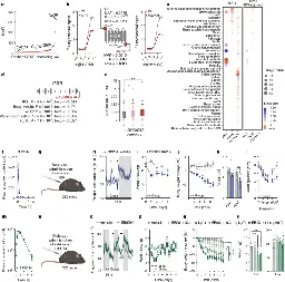 NK2R control of energy expenditure and feeding to treat metabolic diseases | Nature