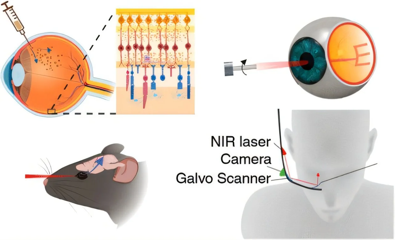 Golden eyes: How gold nanoparticles may one day help to restore people's vision