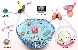 Trimetallic-based nanocarriers method shows promise for visualized idiopathic pulmonary fibrosis therapy