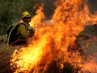 Lives on the line: Low pay has US wildland firefighters quitting