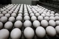 Egg prices expected to rise more than 40%!