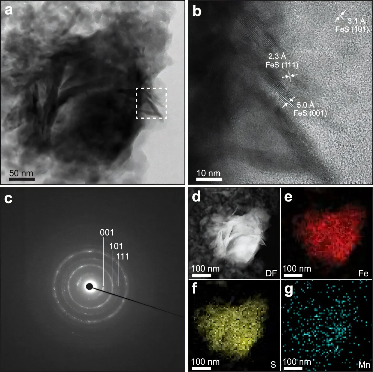 Scientists reveal possible role of iron sulfides in creating life in terrestrial hot springs