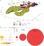 Yellowstone's volcanic activity is shifting to the northeast, geologists find