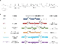 Enhancing microbe memory to better upcycle excess CO&#8322;