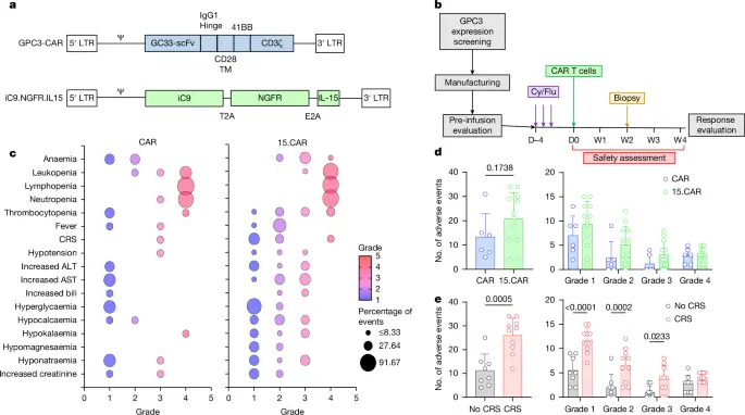 Interleukin-15-armoured GPC3 CAR T cells for patients with solid cancers | Nature