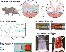 Rendering Skin Transparent Using The Food Dye Tartrazine