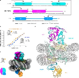 Read–write mechanisms of H2A ubiquitination by Polycomb repressive complex 1 | Nature