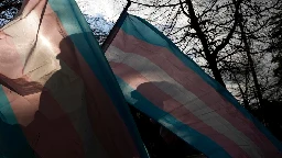 Trump administration to ban transgender people from military enlistment