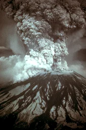 How gophers brought Mount St. Helens back to life in one day