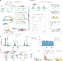 RNA sequencing approach offers real-time and programmable transcriptome sequencing